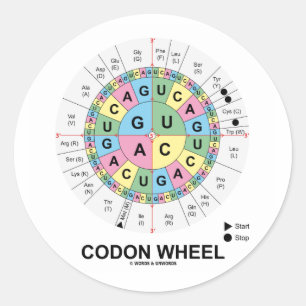 Codon Wheel (RNA Codons Amino Acids) Classic Round Sticker