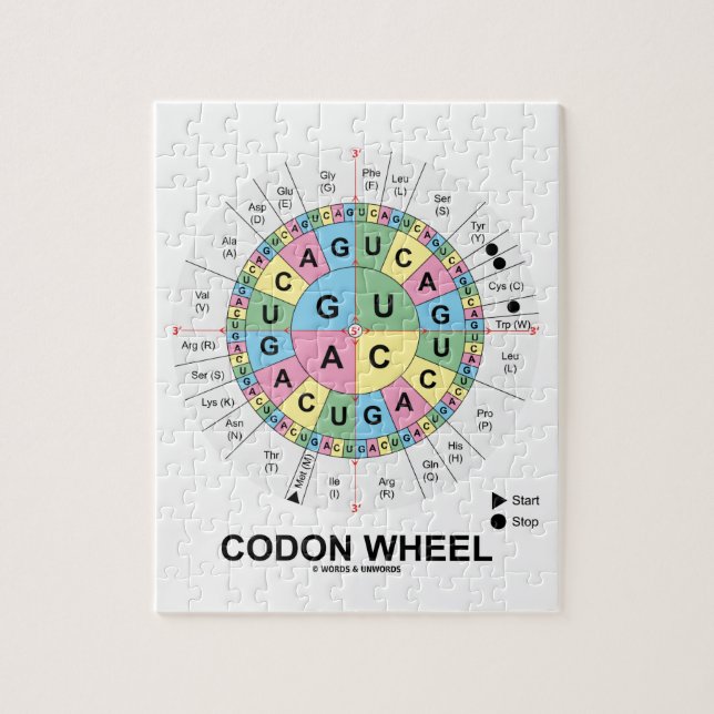 Codon Wheel (RNA Codons Amino Acids) Jigsaw Puzzle (Vertical)