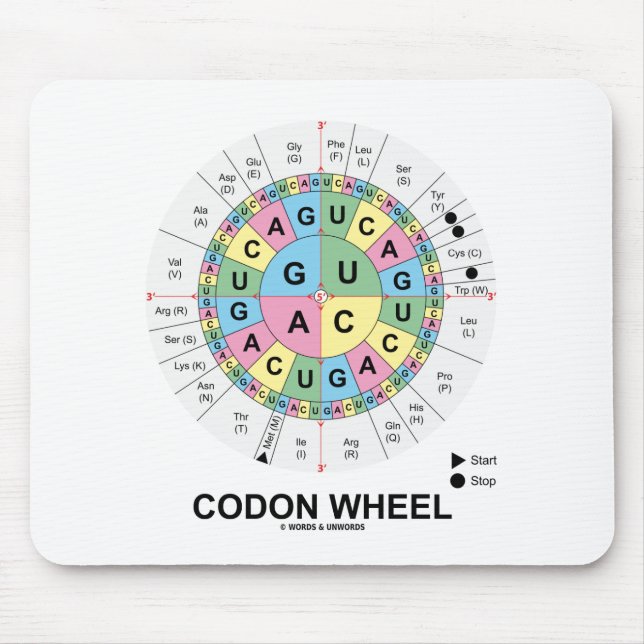 Codon Wheel (RNA Codons Amino Acids) Mouse Mat (Front)