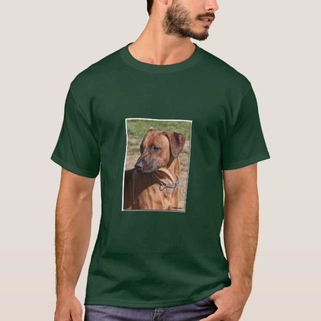 Cody T-Shirt (Front)