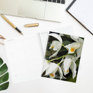 Coelogyne Mooreana Orchids Floral Calendar   Plann Planner