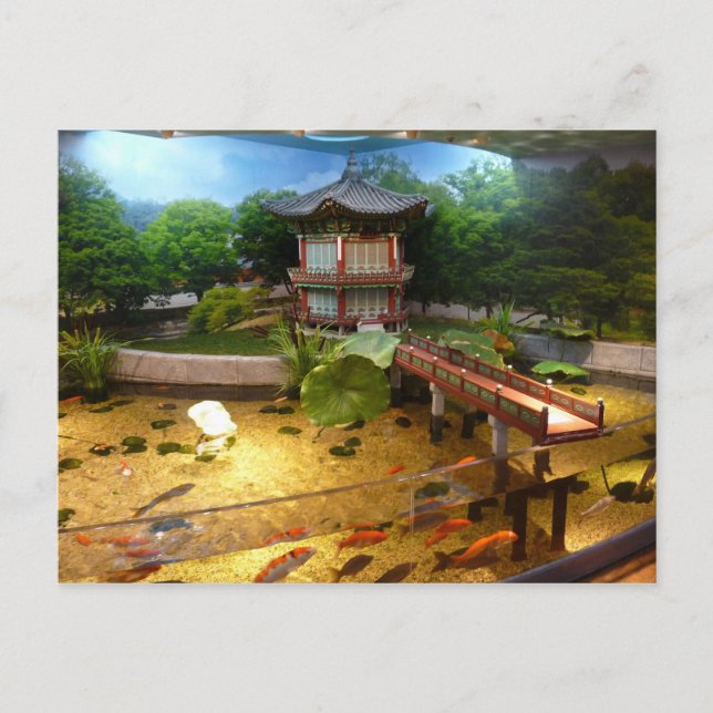 COEX Aquarium Postcard (Front)