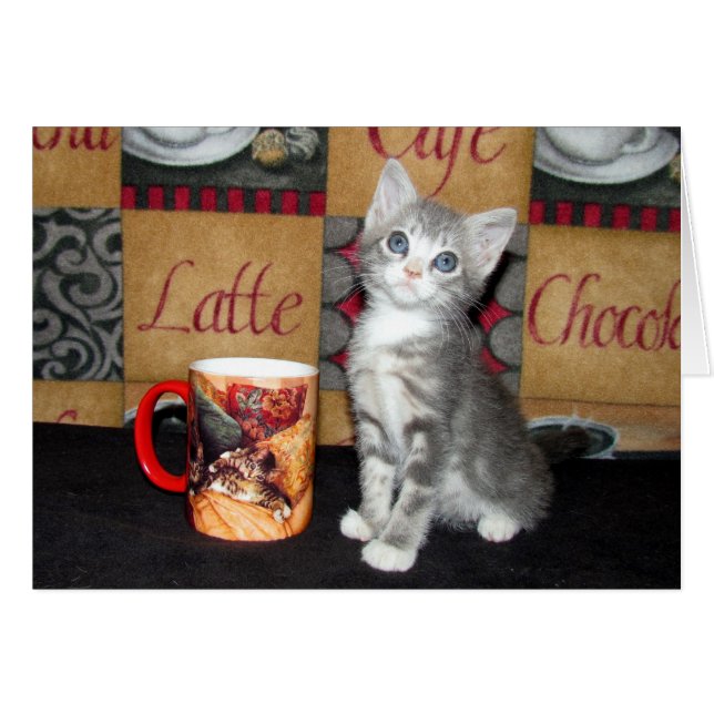 Coffe, Tea, or Meow (Front Horizontal)