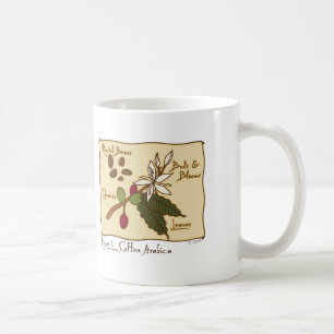 Coffea Arabica Coffee Mug