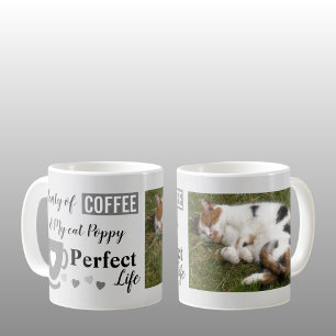 Coffee and my cat perfect life grey grey photo mug