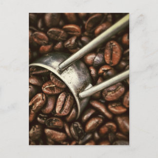 Coffee Bean Postcard