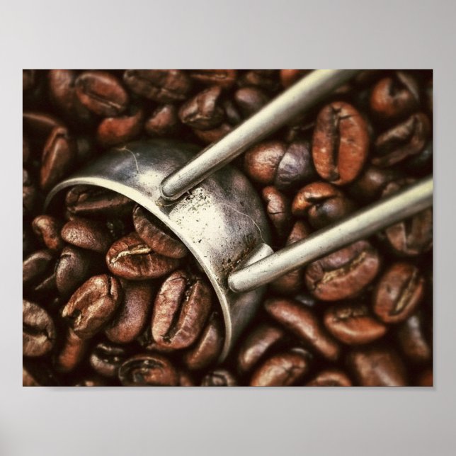 Coffee Beans and Scoop Poster (Front)
