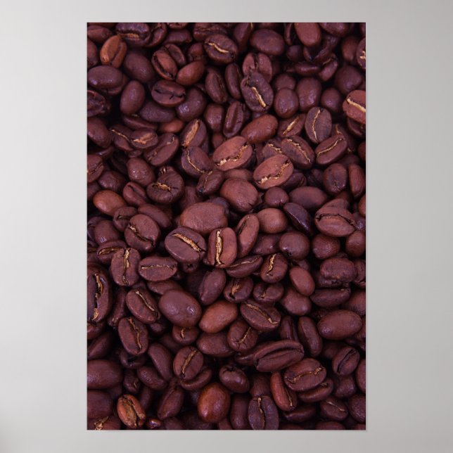 Coffee beans grains poster (Front)