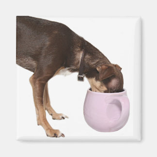 coffee break magnet