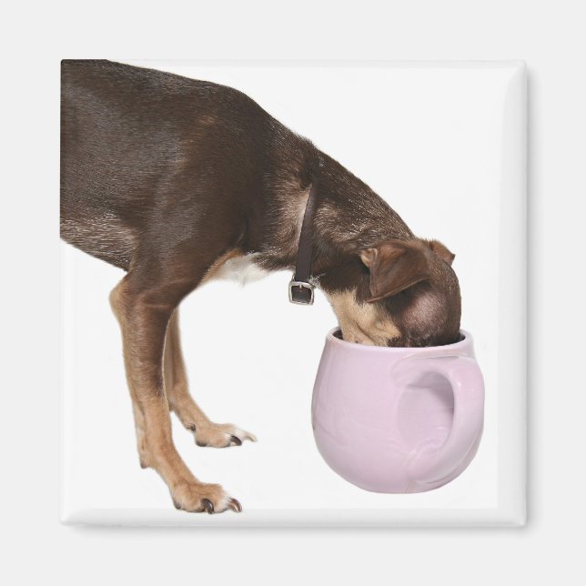 coffee break magnet (Front)