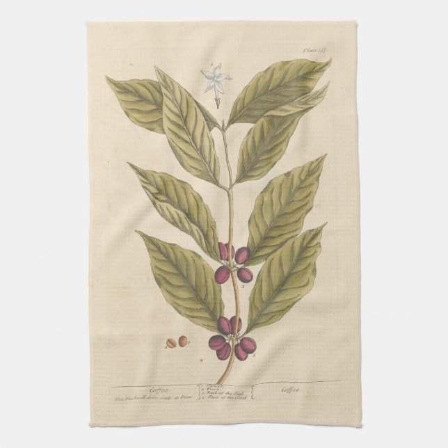 Coffee by Elizabeth Blackwell Tea Towel (Vertical)