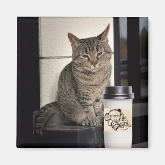 Coffee Cat Magnet