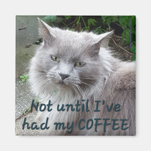 Coffee Cat Magnet #1 - Twig