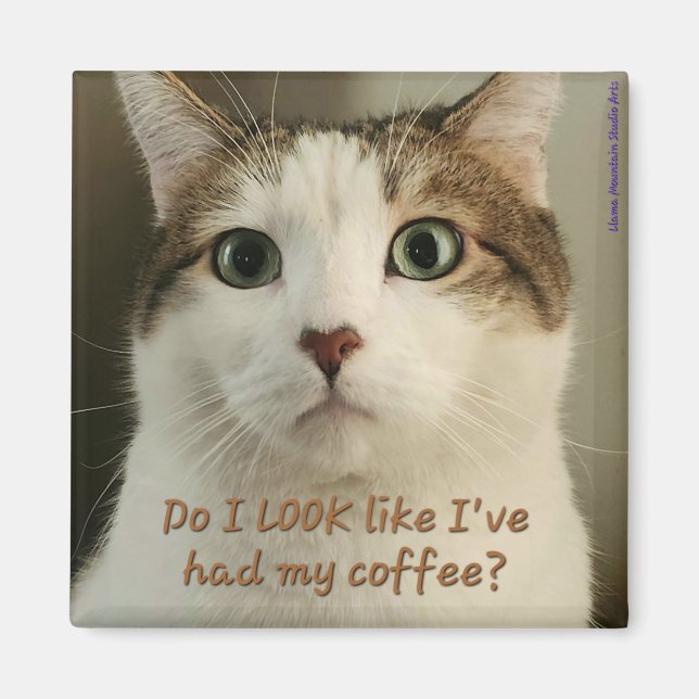 Coffee Cat Magnet #2 - Shuri (Front)