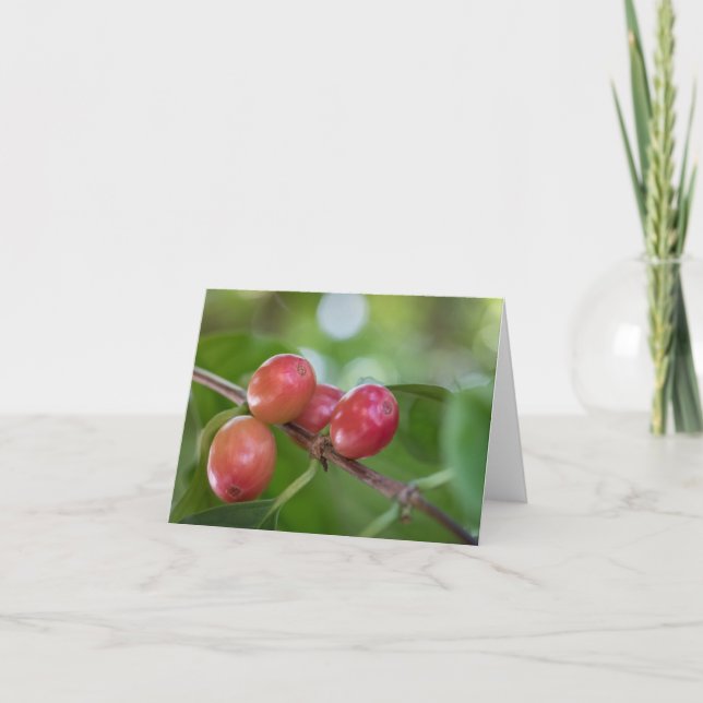 Coffee Cherries Card (Front)