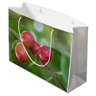 Coffee Cherries Card Large Gift Bag