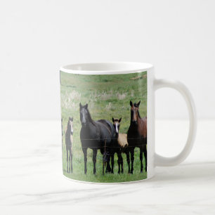 Coffee Cup  - Mares & Foals