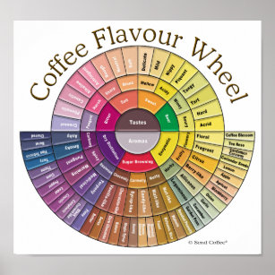 Coffee Flavour Wheel Wall Art