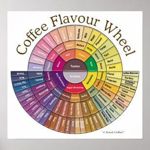Coffee Flavour Wheel Wall Art - Large