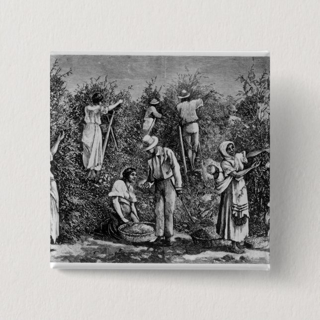 Coffee Harvest 15 Cm Square Badge (Front)