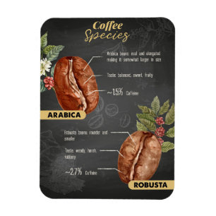 Coffee Lover Coffee Species Magnet