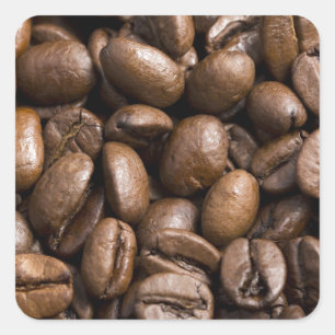 Coffee Lovers Beans Brown Background Square Sticker