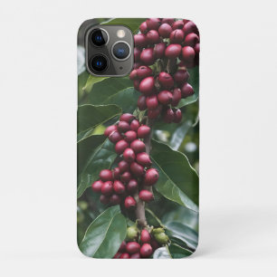 Coffee Lovers Coffee Tree, iPhone 11 Pro Case