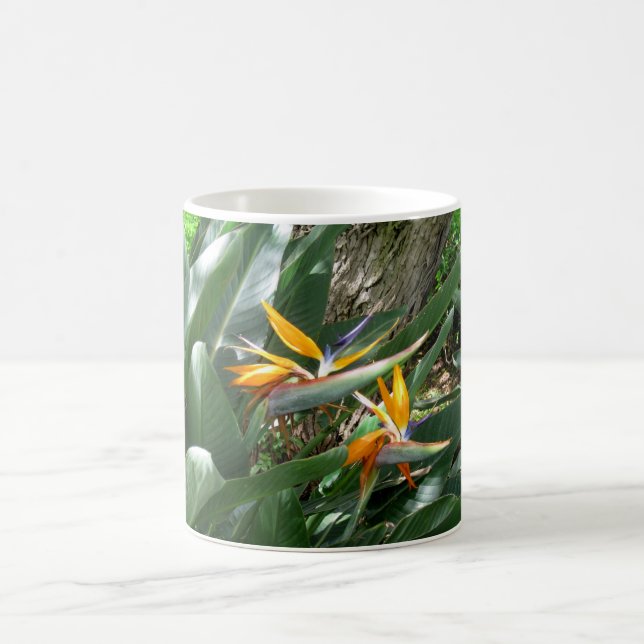Coffee Mug Bird Of Paradise (Center)