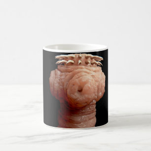 Coffee Mug-Spirometra erinaceieuropaei tapeworm Coffee Mug