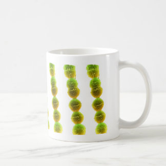 Coffee Mug - Streptococcus (green on white)