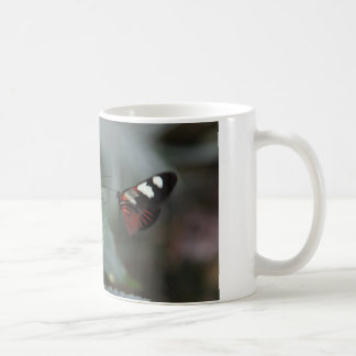 coffee mug with 2 butterflies...come together
