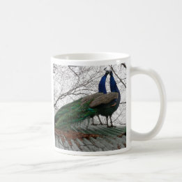 COFFEE MUG WITH PEACOCK IMAGE
