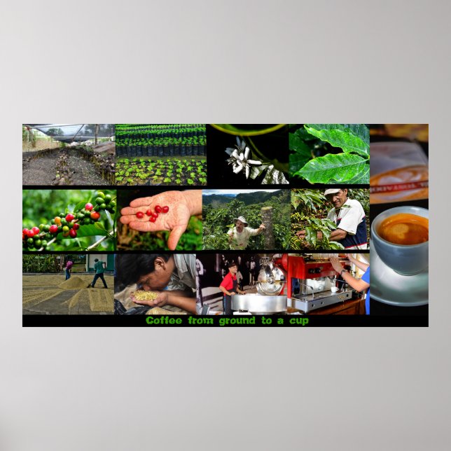 Coffee poster (Front)