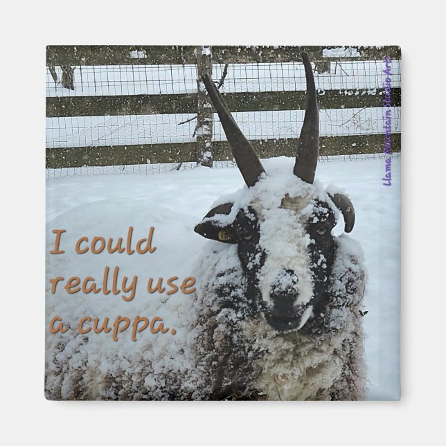 Coffee Sheep Magnet #1 - Precious (Front)