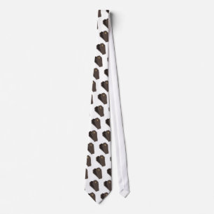 Coffin Tie