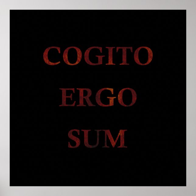 Cogito ergo sum poster (Front)