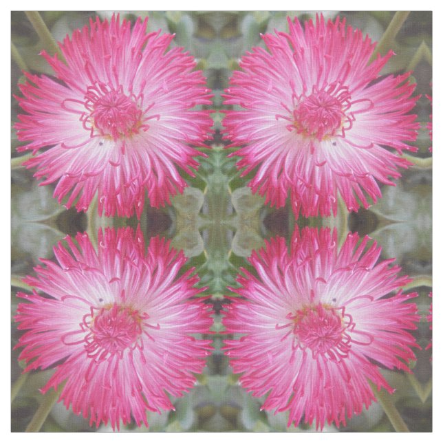 Cogniet Fabric (Swatch)