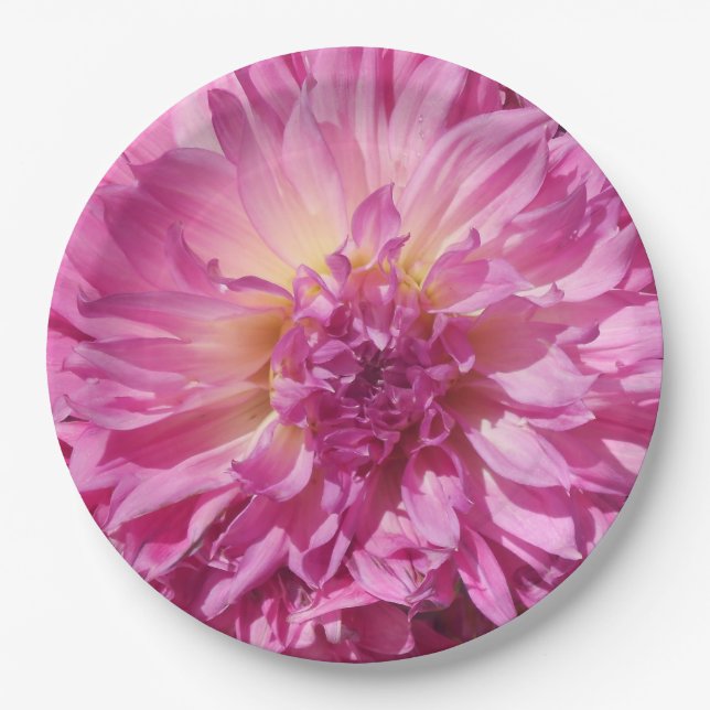 Cogniet Paper Plate (Front)