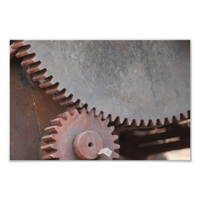 Cogs Photo Print (Front)