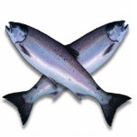 Coho Salmon Cross Photo Sculpture<br><div class="desc">Coho Salmon Cross Photo Sculpture</div>