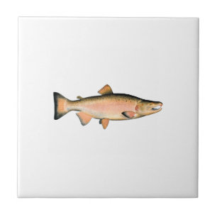 Coho - Silver Salmon (spawning phase) Tile