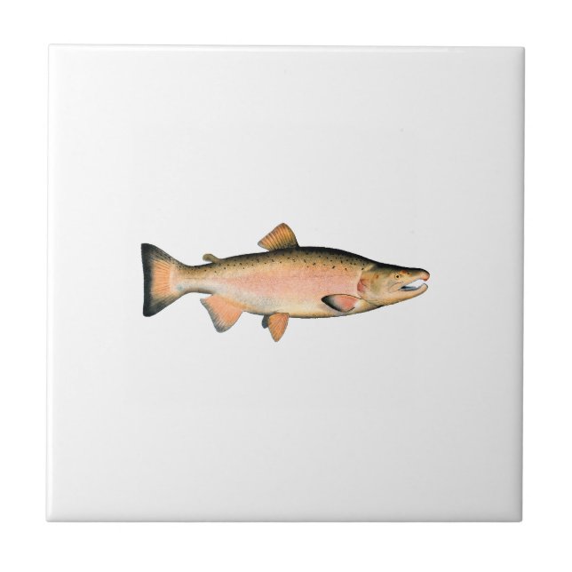 Coho - Silver Salmon (spawning phase) Tile (Front)