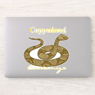 Coiled Copperhead Snake Thunder_Cove