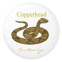 Coiled Copperhead Snake Thunder_Cove