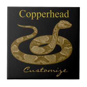 Coiled Copperhead Snake Thunder_Cove Tile