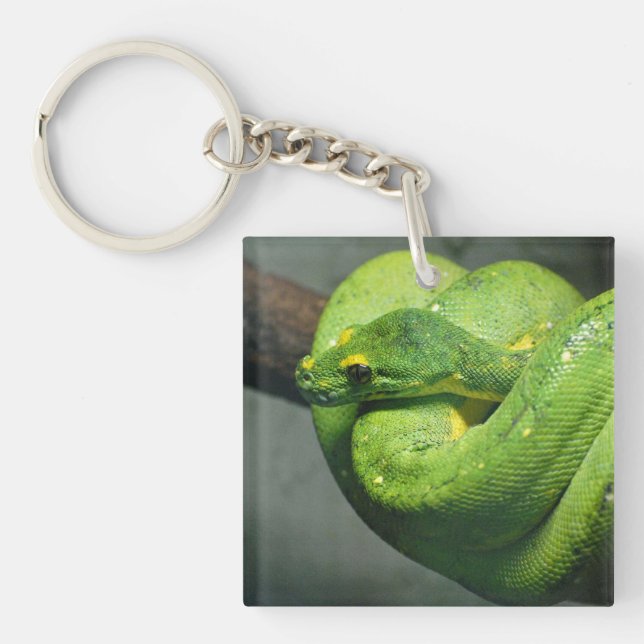 Coiled Green Tree Snake Key Ring (Front)