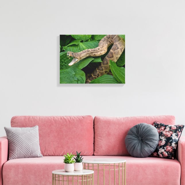 Coiled Rattlesnake in Hosta Plant Canvas Print (Insitu(LivingRoom))