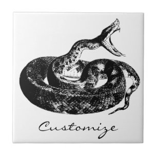 Coiled Rattlesnake Thunder_Cove Tile