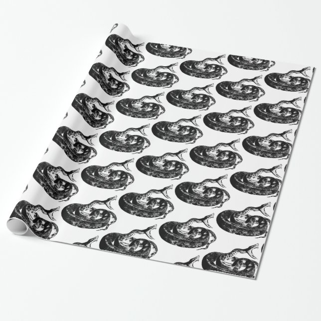 Coiled Rattlesnake Thunder_Cove Wrapping Paper (Unrolled)