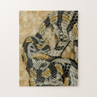Coiled Timber Rattlesnake Jigsaw Puzzle